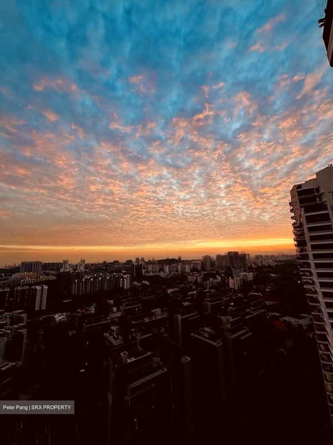 D'Leedon (D10), Condominium #617679631